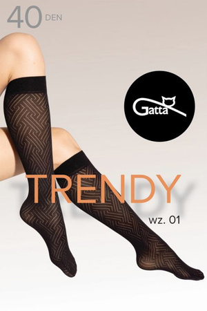 Gatta Knee Socks 01 40 DEN Wyrb poczoszniczy podkolanwki, nero